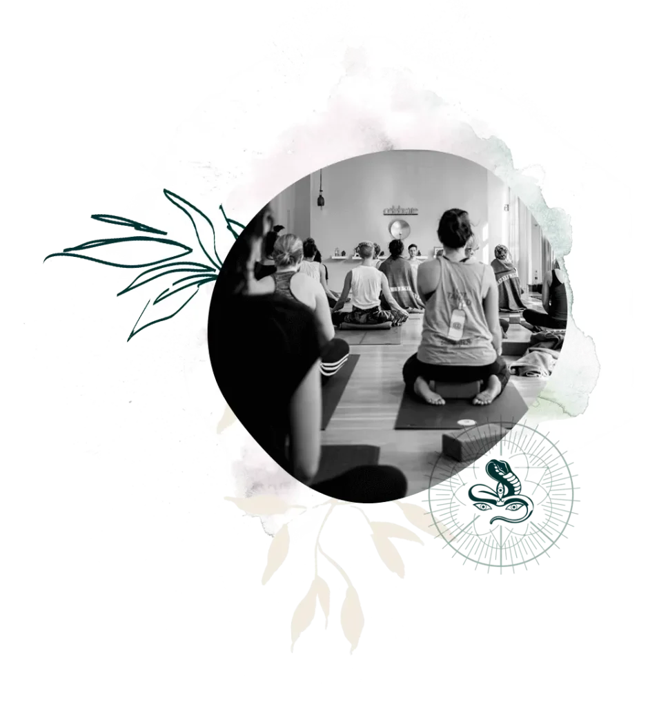Jivamukti holistic approach at peaceyoga